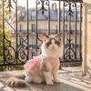 Lightweight Lace Cat Dress Small Dogs Cats Breathable Pet Outfit In Blue Pink XS To XL