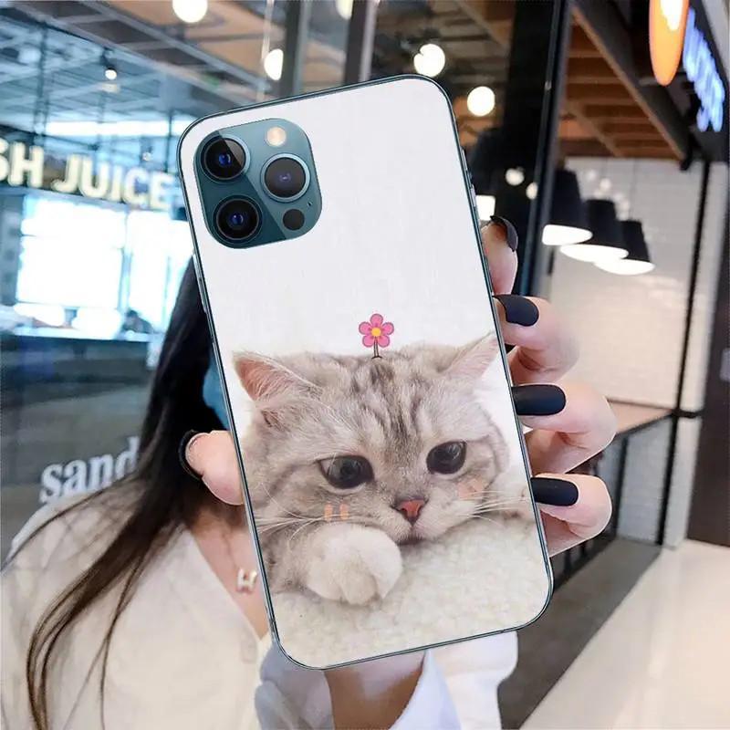 Etui na telefon komórkowy iPhone 15 Mini, urocze etui na telefon komórkowy z motywem kota, malowane, odporne na upadki i chroniące dłoń przed upadkiem.