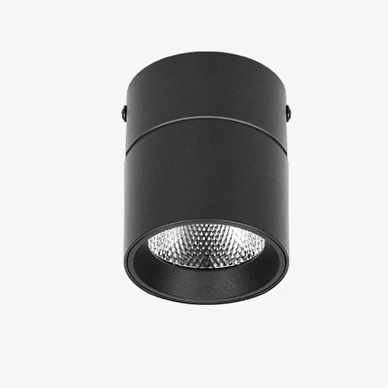 Modern Simple Ceiling Lights Mini Small LED Ceiling Lamp for Living Room Bedroom Kitchen Surface Mount Led Downlight Spot light