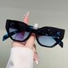 Oversized Cat Eye Sunglasses Women Fashion Vintage Casual Sun Glasses  New Trendy Stylish Design Decor Sun Glasses