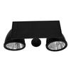 Solar Projection Light Human Body Induction TwoColor Solar Lawn Lamp for Garden Plants