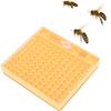 Plastic Bee King Incubator Free Move Harmless Breeding Box Beekeeper Beekeeping Tool