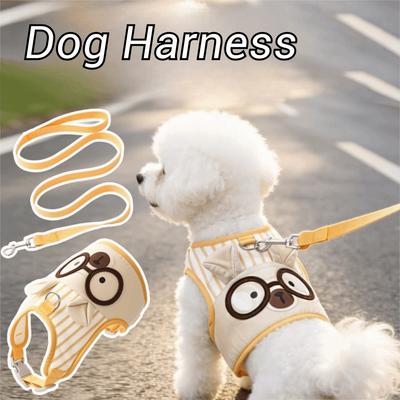 Perros – Collares y correas