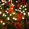 solar garden lights 10 LED solar firefly lights swaying with the wind outdoor waterproof LED lights courtyard landscape