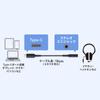 SANWA SUPPLY Type-C Audio Conversion Adapter (cable Type) MM-ADUSBTC4