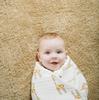 Aden + Anais Jungle Jam Muslin Swaddles (2-Pack, 4023)