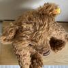 [USED] Steiff Classic Teddy Bear 004513