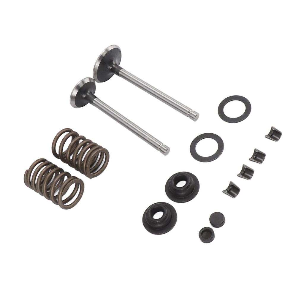Microtiller Valve Parts Iron Wear Resistant Anti Corrosion Spring Washer Locking Clip Set for Generator