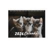 Personalized Photo Calendar For Cats And Dogs, 2026 Planning, Thick Paper Calendar, Gifts For Adults And Children