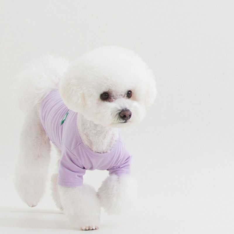 Foreverybari Grafik-T-Shirt (Lavendel)