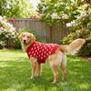 Adorable Heart Pattern Pet Knitting Sweaters Warm Round Neck Dog Knit Pullover Breathable Autumn Dog Clothes Daily Wear