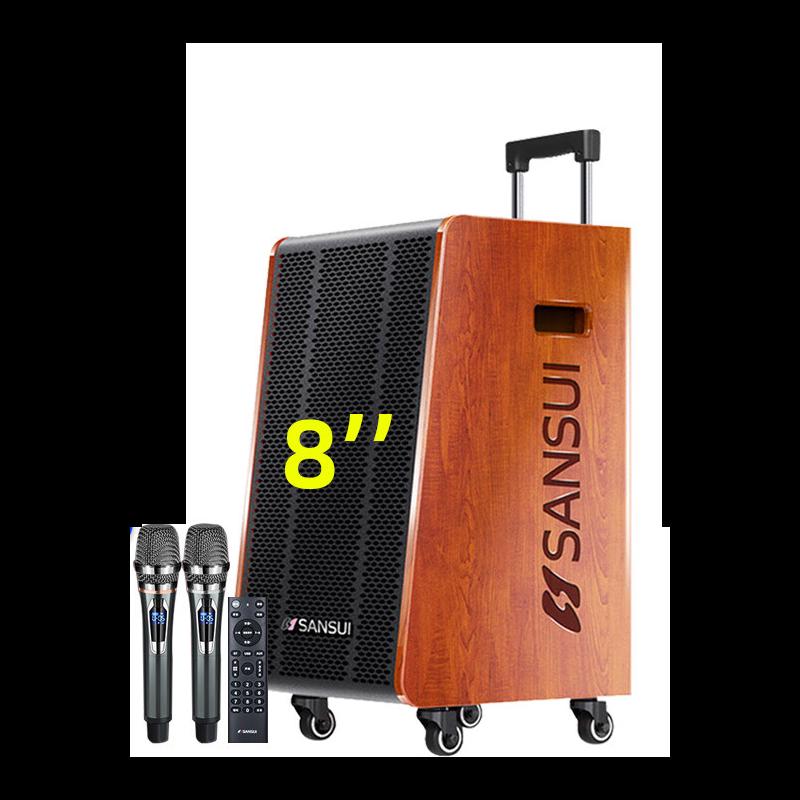 ShanShui High-Power Portable KTV Trolley Speaker