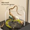 High-Transparency Desktop Fish & Turtle Tank with Climbing Platform – Ornamental Betta Eco-Tank for Living Room
