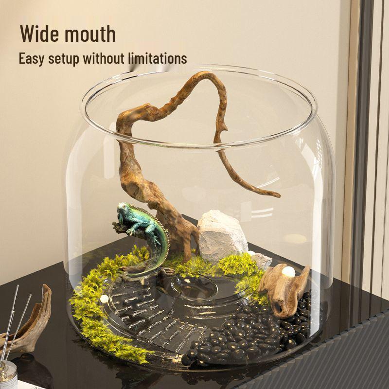 High-Transparency Desktop Fish & Turtle Tank with Climbing Platform – Ornamental Betta Eco-Tank for Living Room