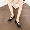 2025 autumn new pointed single shoes women's thick heel with shallow mouth Mary Jane shoes sexy temperament high heels women
