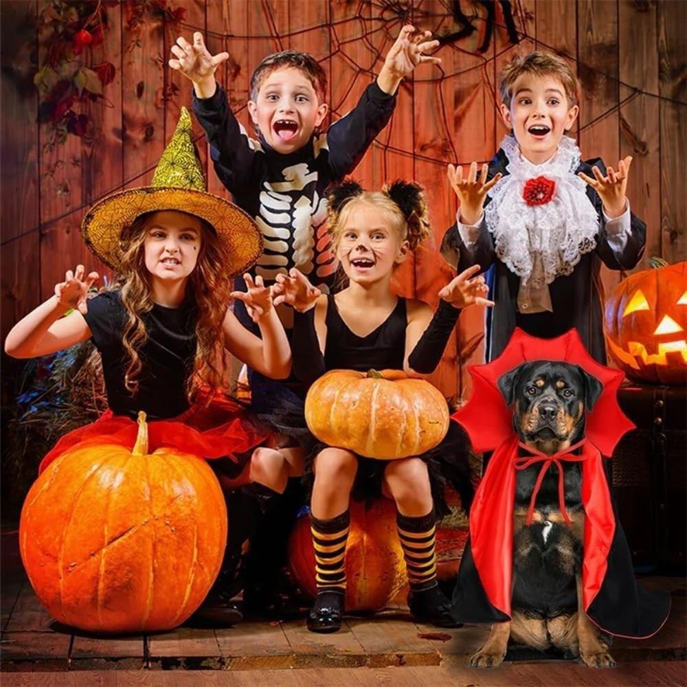 Cute Halloween Pet Costumes Funny Pet Clothes High Quality Cosplay Robe  Gift