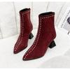 Fashion Women Ankle Boots 2024 Shallow Spring Autumn Winter Pointed Toe Designer Ladies Short Back Zip Sexy Suede High Heels Mom Shoes