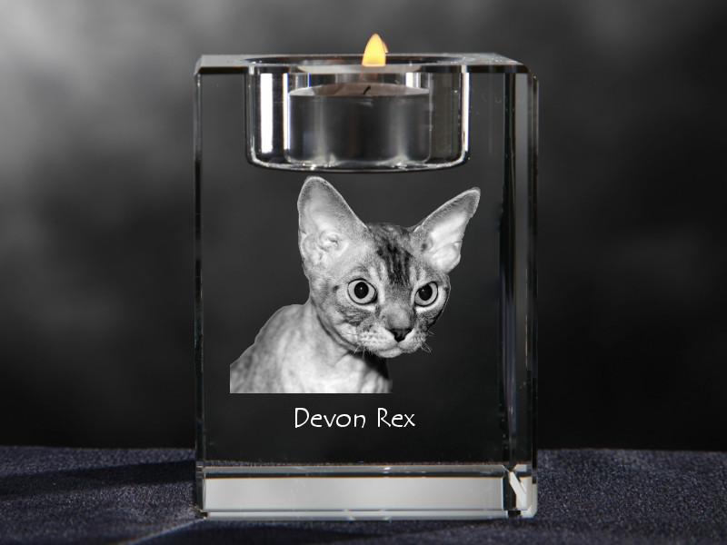 Devon Rex – Candle holder with cat photo, crystal tealight holder | Art-Dog