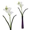 Takje - witte schuimfreesia 59 cm