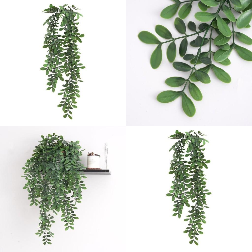 Wall Hanging Green Common Bowringia Plant With Three Color Faux Vine For Home Decor And Living Room