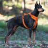 Pettorina Riflettente per Cane Dobermann Cane Medio Grande Gilet Tattico Cane Grande Pettorina Impermeabile Accessori per Animali Domestici Forniture