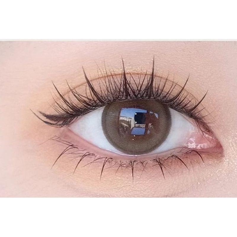 Gege Bear - Mouse Edition False Eyelashes