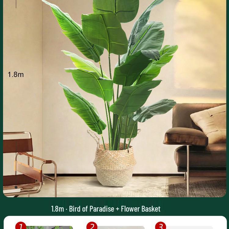 High-End Indoor Bird of Paradise Decor: Luxury Potted Traveler's Palm