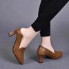 Temperament High Heels Women's Spring and Autumn New Pointed Thick Heel Versatile One-pedal Single Shoes Soft Leather Medium Heel Small Leather Shoes