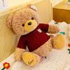 Luxusný sveter s medvedíkom Hug Bear Bear Deň detí Darček k narodeninám Valentín Plyšová hračka