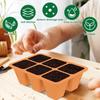 3Pc Seed Starter Tray 6 Cells Silicone Seedling Planting Tray Reusable Gardening Seedling Germination Container with Drain Holes