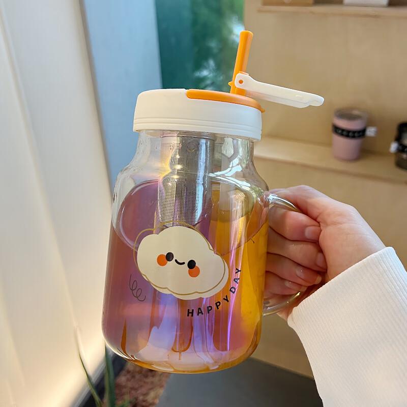 

Wensu Stylish Glass Tea & Water Bottle