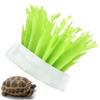 Reptile Hideout Box Humidifier Natural Gasification Humidification Simulation Plant Unplugged Humidifier for Tortoise