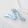 Korean Versatile Shiny Claw Clip: High-End Hair Accessory for Women