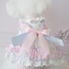 Pet Dog Dress Bichon Frise Poodle Winter Warm Two-Leg Outfit Pink Blue Lolita Style Acrylic Princess Skirt