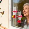 Window Bird Feeder Suction Cup Leak Proof Hanger 2 Pack Flower Ports Design Hummingbird Feeders For Outdoors For House Garden