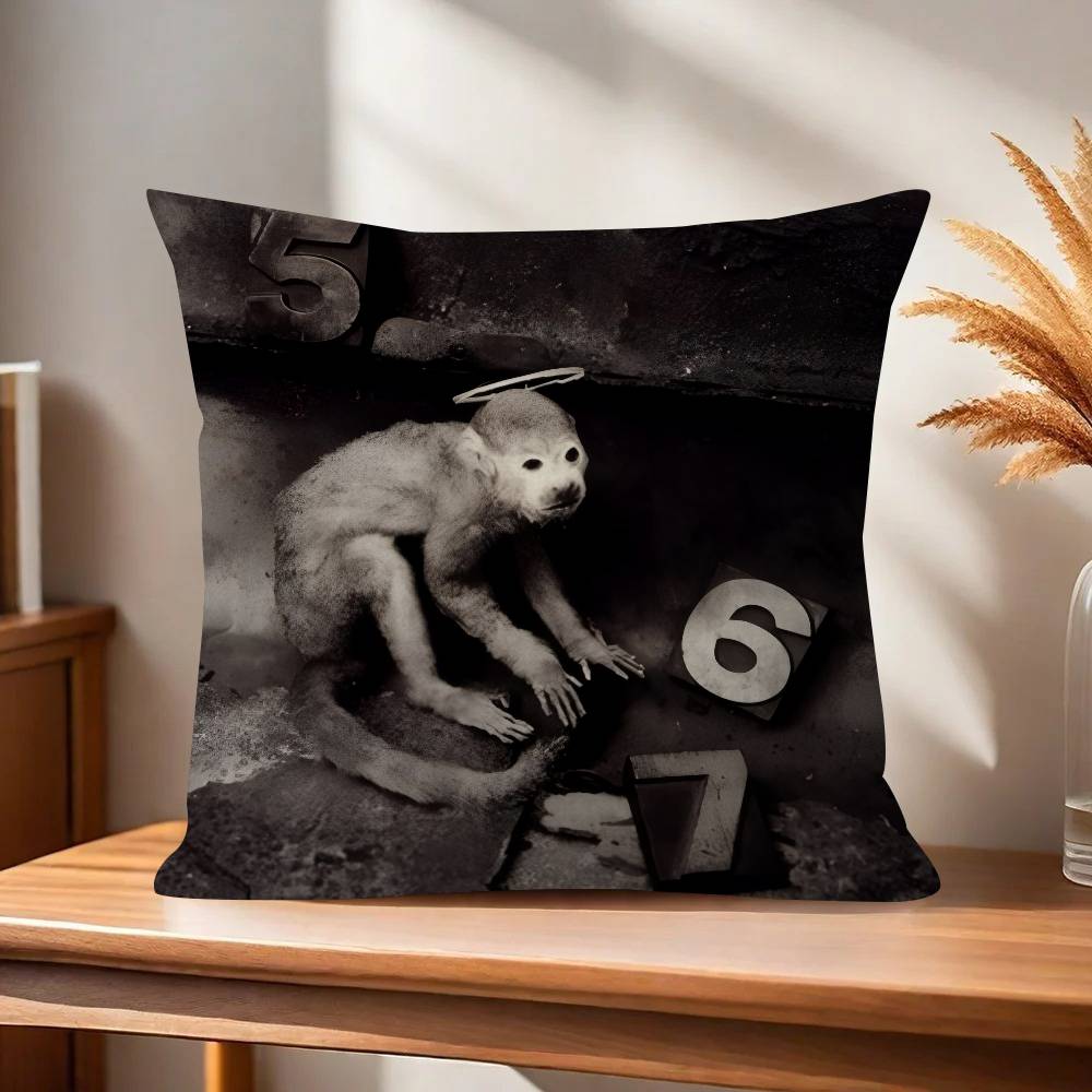 Rock Band PPixies Doolittle   Personalized picture text home decorative pillows Household Gifts xcm