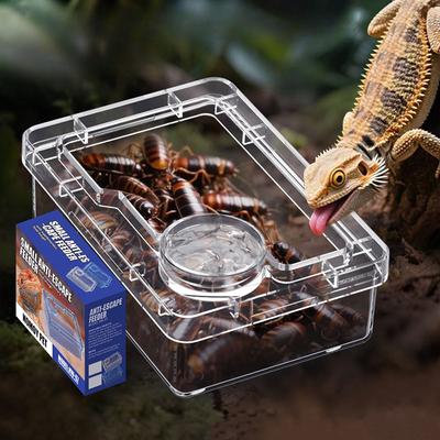 Reptilien Futterspender Eidechse Schildkröte Gecko Futter Napf Anti-Flucht Mehlwurm Kakerlake Zuchtbox Reptilien Futter Trink Zubehör