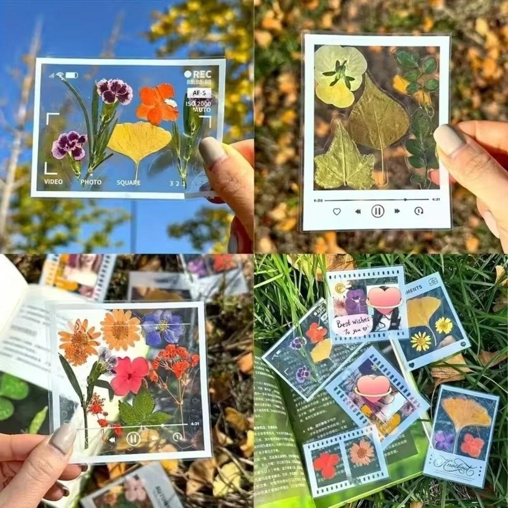 20PCS Plastic Frame Clear Plastic Bookmarks Pressed Flower Bookmarks Pressed Flowers Leaves