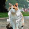 Creative Giant Arm Mock Pet Props, Neck Hanging Arms, Cat And Chicken Toys