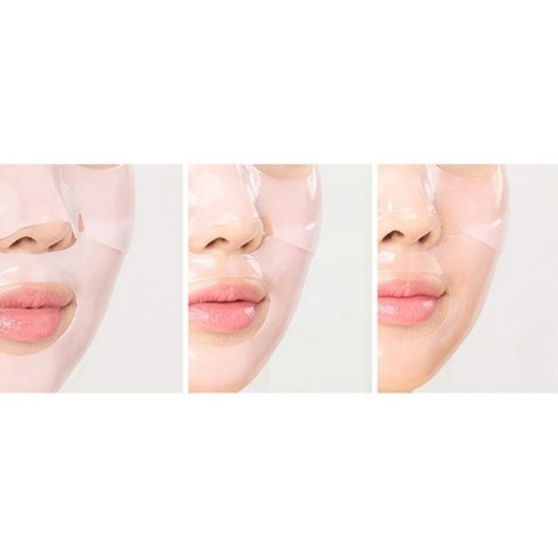 ROUND LAB Camellia Deep Collagen Firming Gel Mask 34gX4EA
