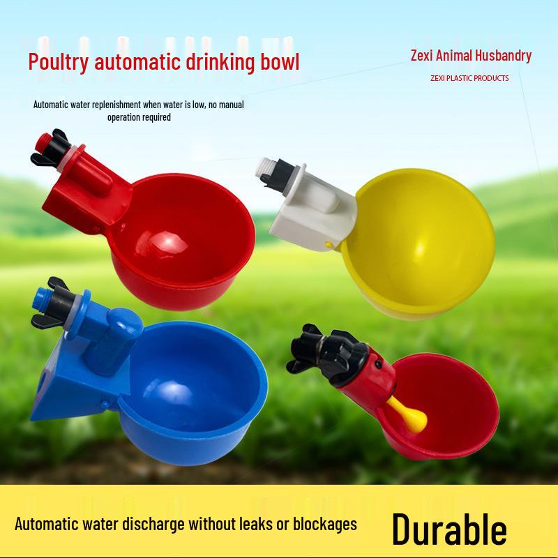 Poultry Automatic Drinking Bowl for Pigeons, Chickens, Ducks, and Geese