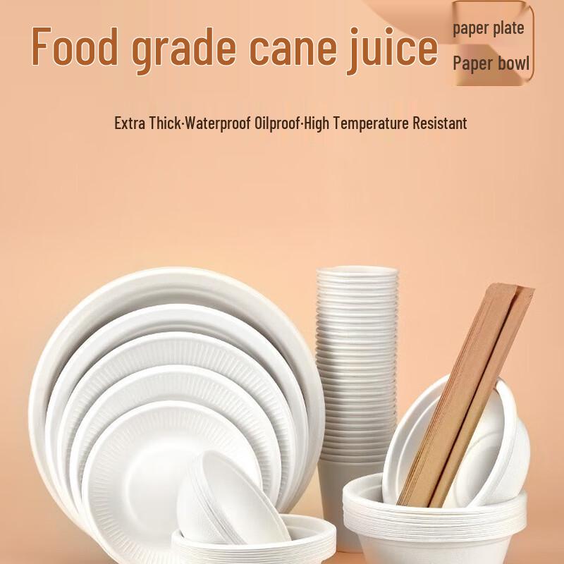 CIBO Disposable Dinnerware Set