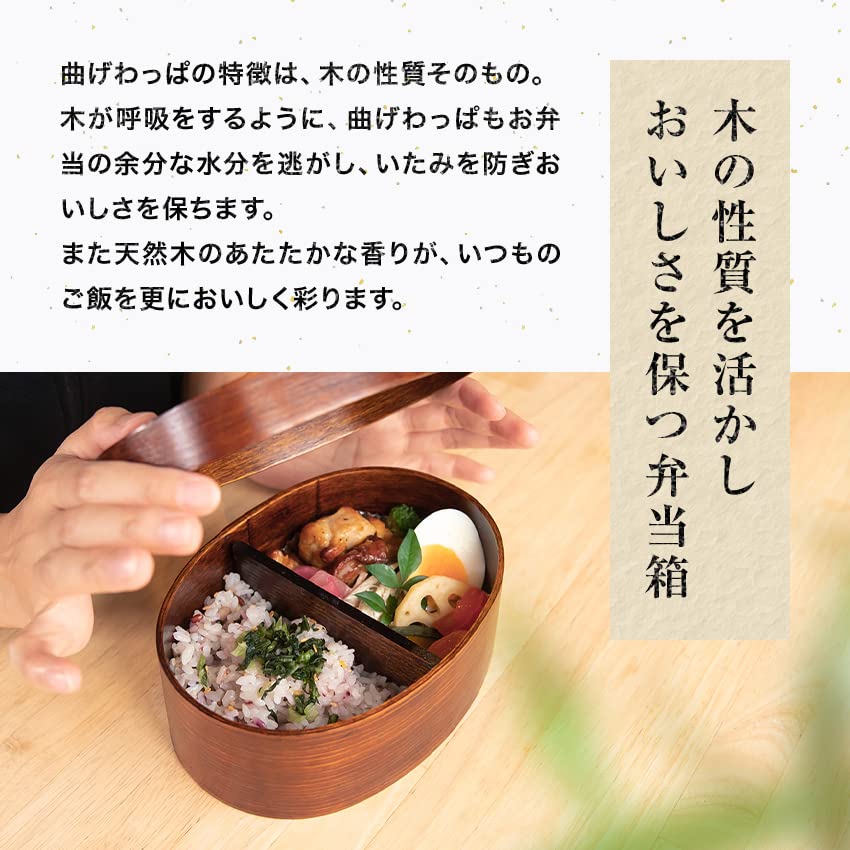 Osaka Choseido Magewappa Bento Single Lunch Bonus Brown Band Box, Oval, Tier, Divided, Band, Included, Large, 600cc,