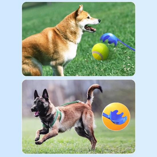 Haustierwerfer Hundeballwerfer Freihändig Sauberer Spaß Spielzeug für Hunde Erhöhen