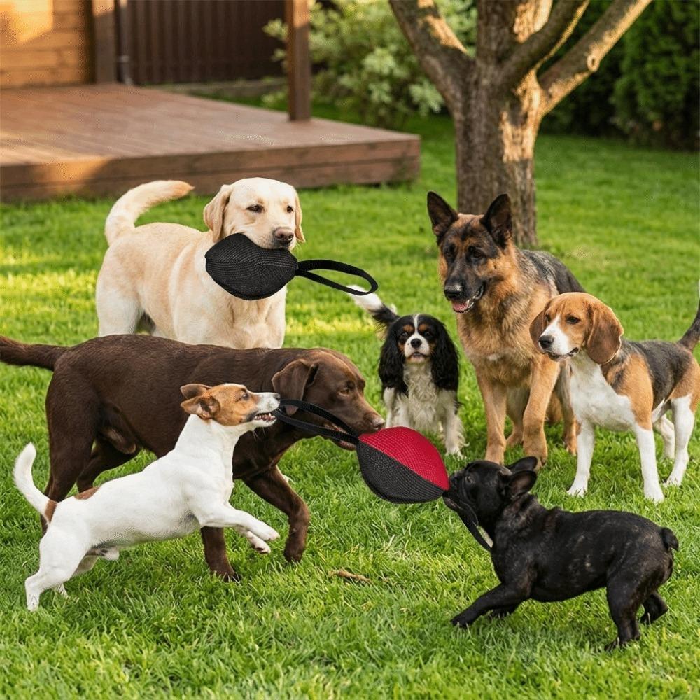 

Multi-color Patchwork Multi-color Rugby Bite Stick Pet Behavioral Guidance чорний