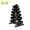 Zhongjing Hex Dumbbell Set with Storage Rack