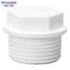 Wenstan PVC Threaded Pipe Plug