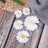 5pcs DIY Small Sun Flower Daisy Embroidery Patches for Clothing Iron On Clothes Sticker Stripe Iron-on Applique Hole Repair