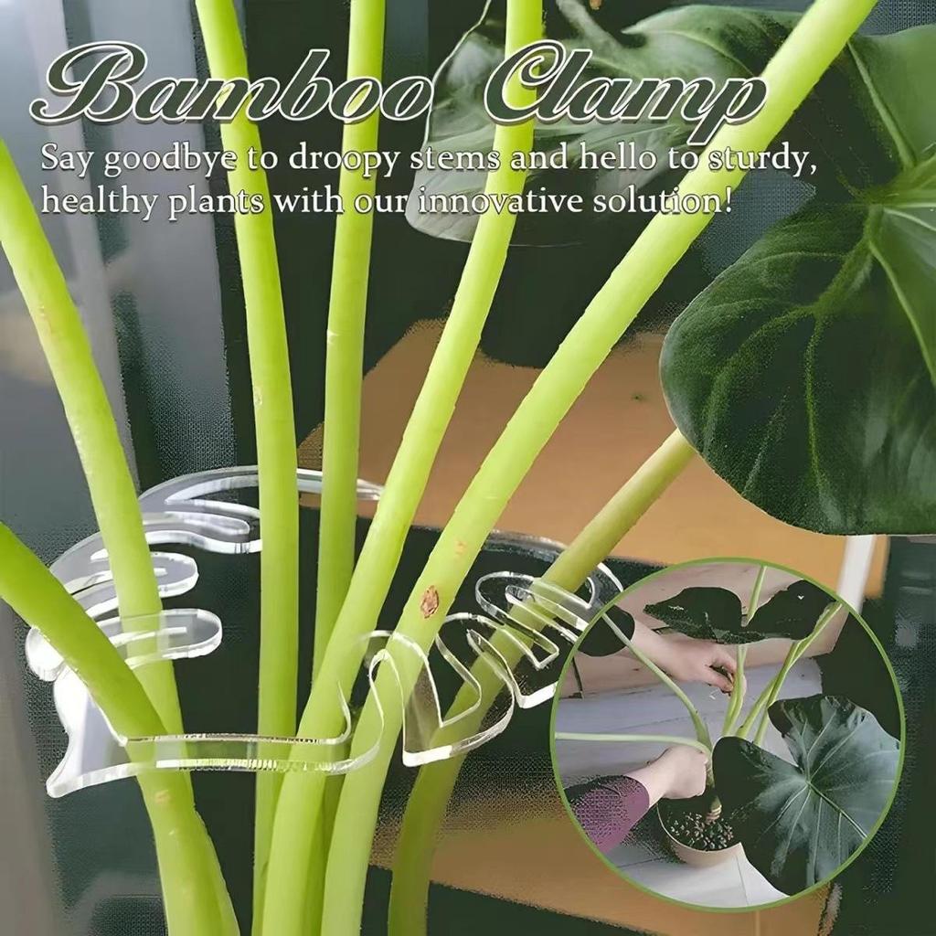 10 STÜCKE Kunststoff Pflanzenstützclips grün Ranken Kletterklammern verstellbare Gartenpflanzen Stielklemmen für fixiertes und aufrechtes Wachstum