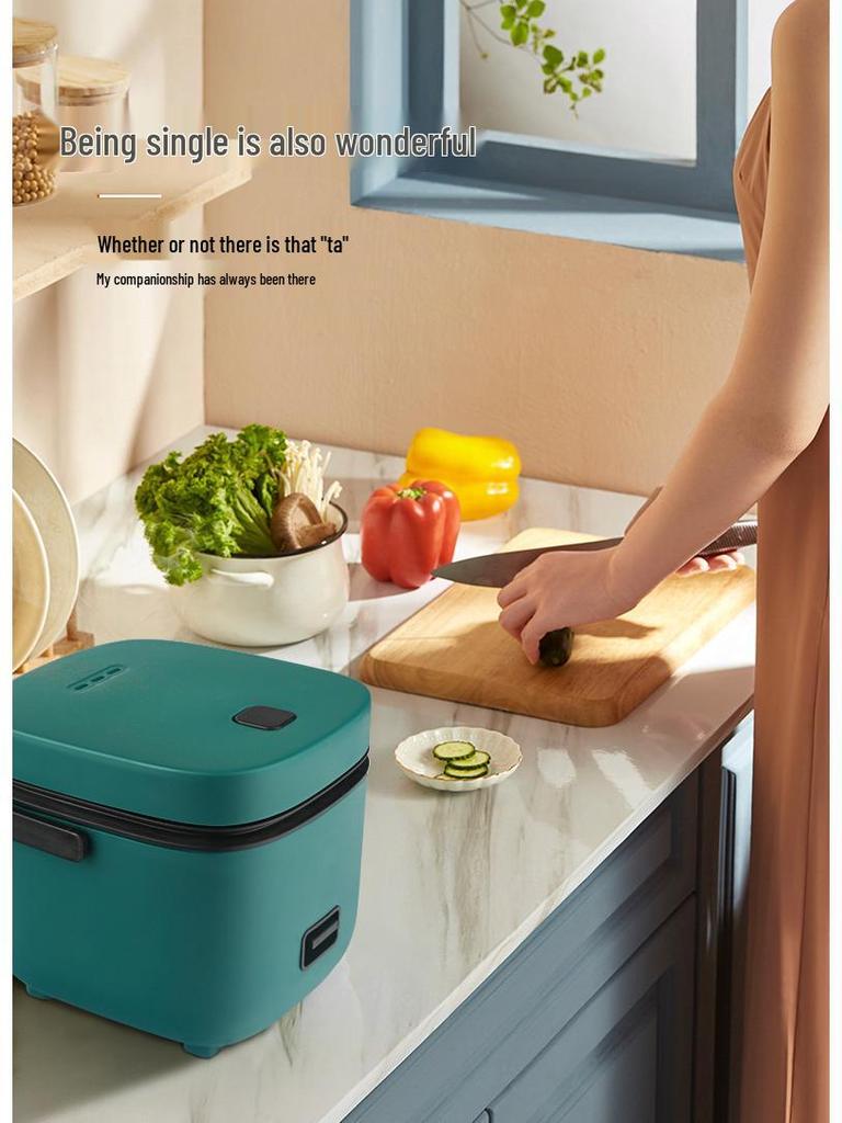 Compact Portable Mini Rice Cooker – Household Kitchen Appliance